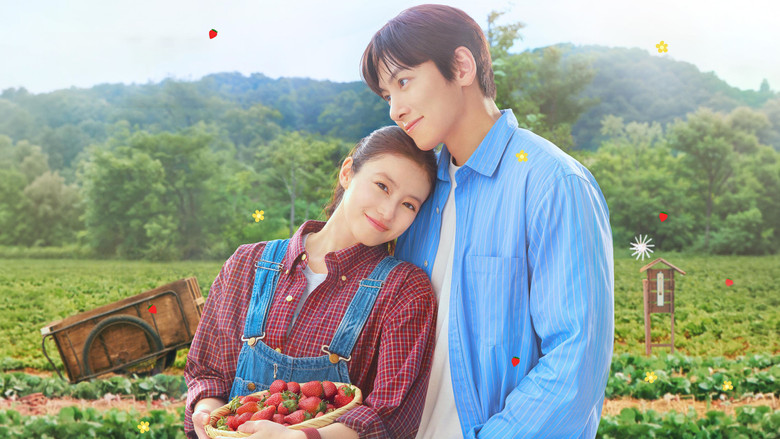Amor Doce Amor – Merry Berry Love